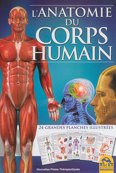 L'anatomie du corps humain | 9788862297196 | Santé