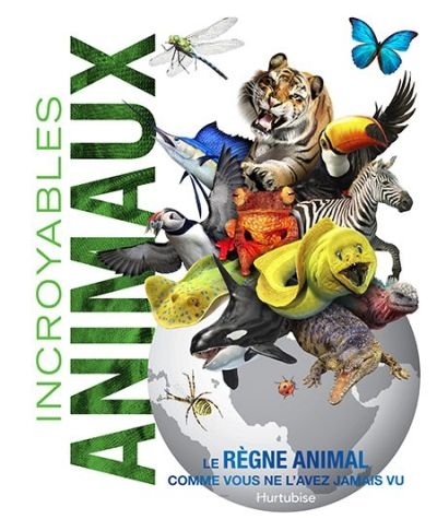 Incroyables animaux  | 9782897810269 | Documentaires