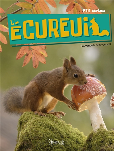P'tit curieux - L'écureuil | 9782366534429 | Documentaires