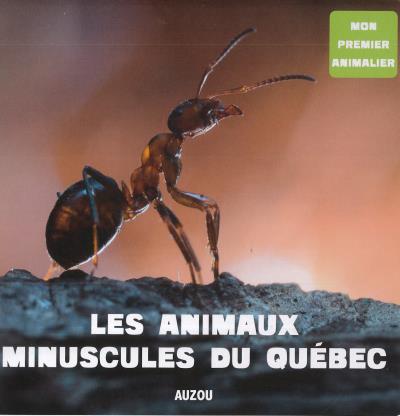 Mon premier animalier - Les animaux minuscules du Québec | 9782733864937 | Documentaires