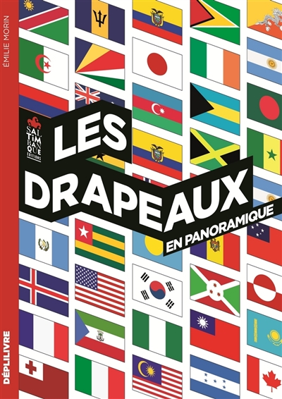 Drapeaux en Panoramique (Les) | 9782378011390 | Documentaires