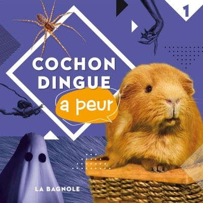 Cochon Dingue T.01 - Cochon Dingue a peur  | 9782897143855 | Documentaires