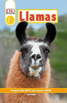 DK Readers Level 2: Llamas  | Documentary