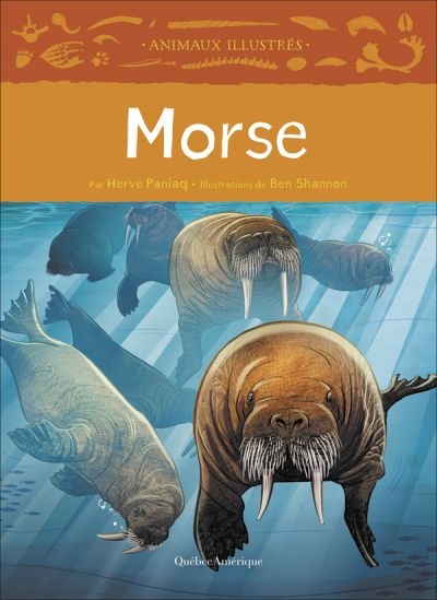 Morse  | 9782764439340 | Documentaires
