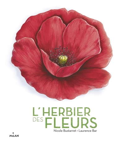 L'herbier des fleurs | 9782408018108 | Documentaires