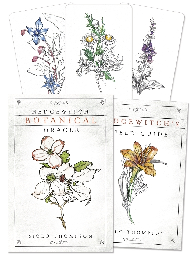 Hedgewitch Botanical Oracle | Faith & Spirituality