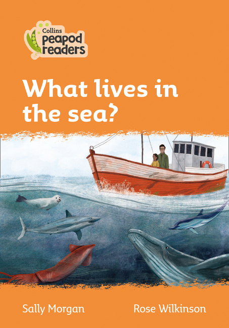 Collins Peapod Readers – Level 4 – What lives in the sea? | First reader