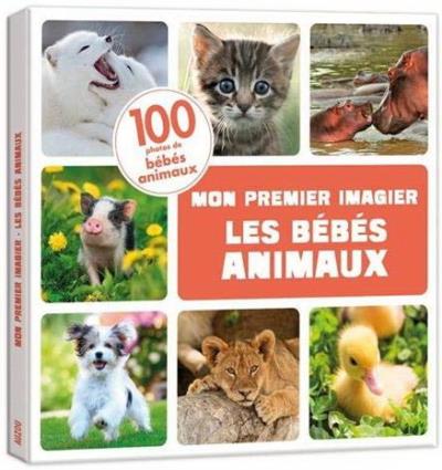 bébés animaux (Les) | 9782733888827 | Documentaires