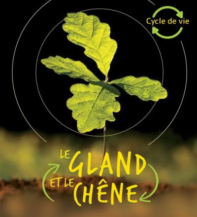 gland et le chêne (Le) | 9781443187510 | Documentaires