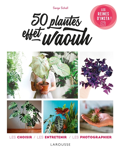 50 plantes effet waouh : les reines d'Insta ! : les choisir, les entretenir, les photographier | 9782035984395 | Flore