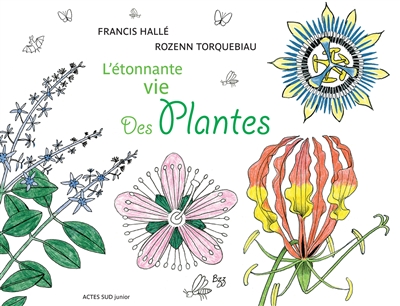 Étonnante vie des plantes (L') | Hallé, Francis