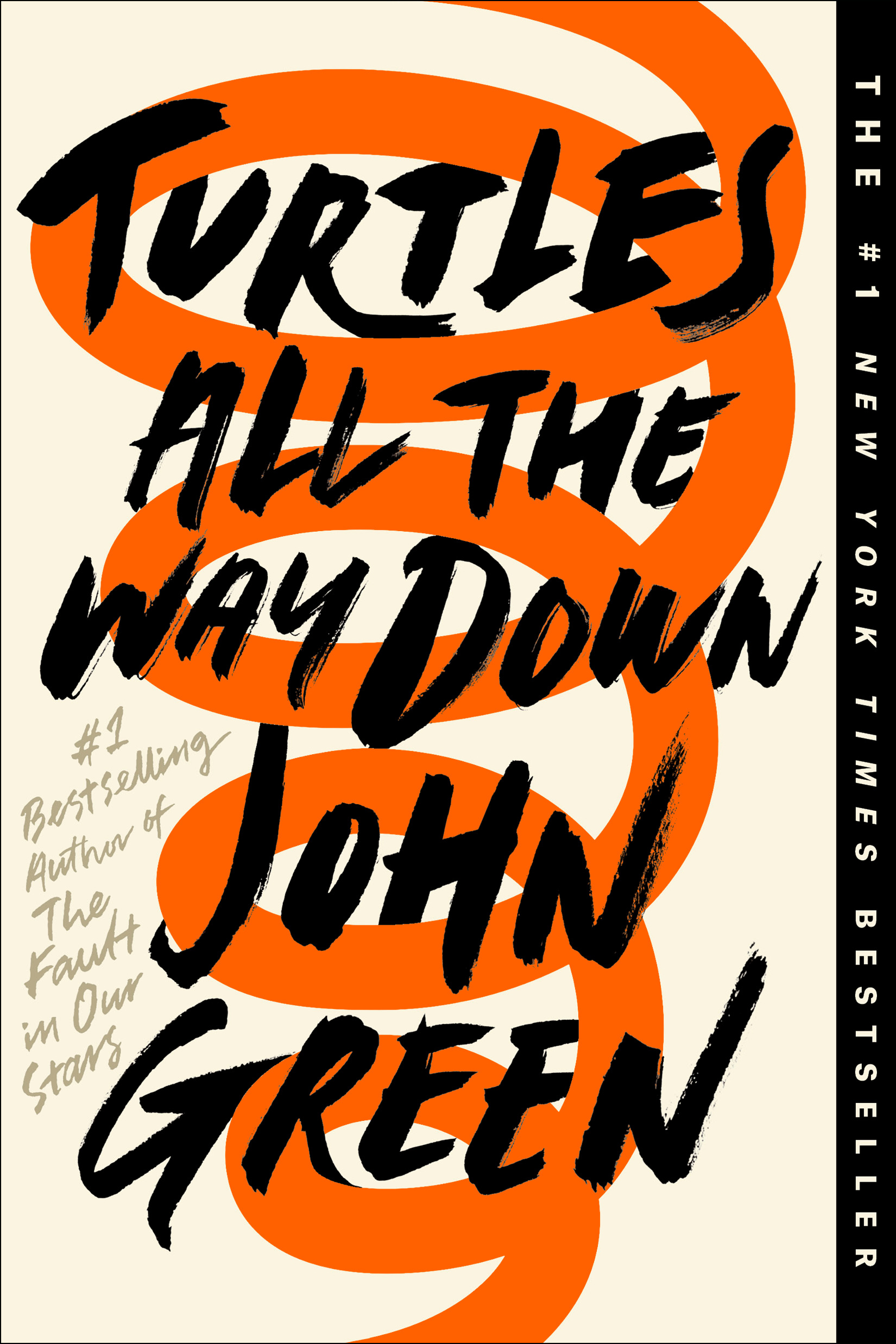 Turtles All the Way Down | Young adult
