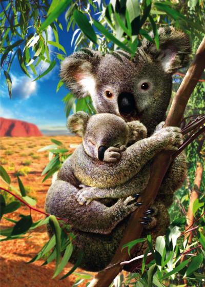 Casse-tête 500 - Maman koala & son bébé | Casse-têtes