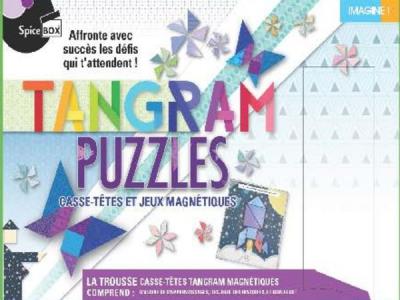 Tangram sorcier : Casse-têtes et jeux magnétiques | Jeux magnétiques