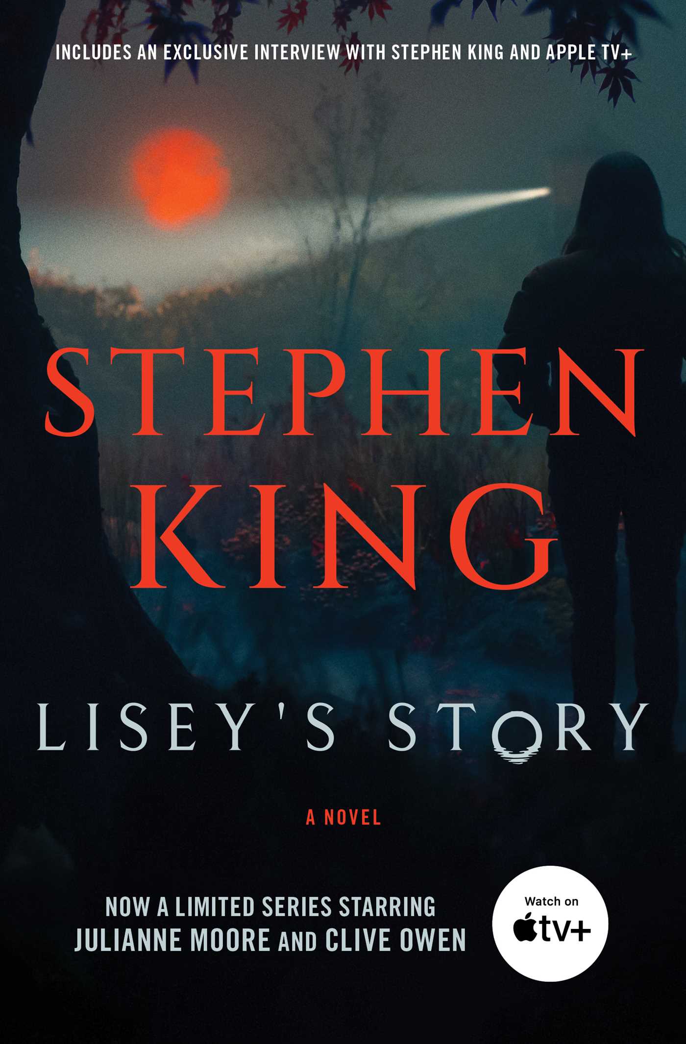 Lisey's Story : A Novel | Thriller