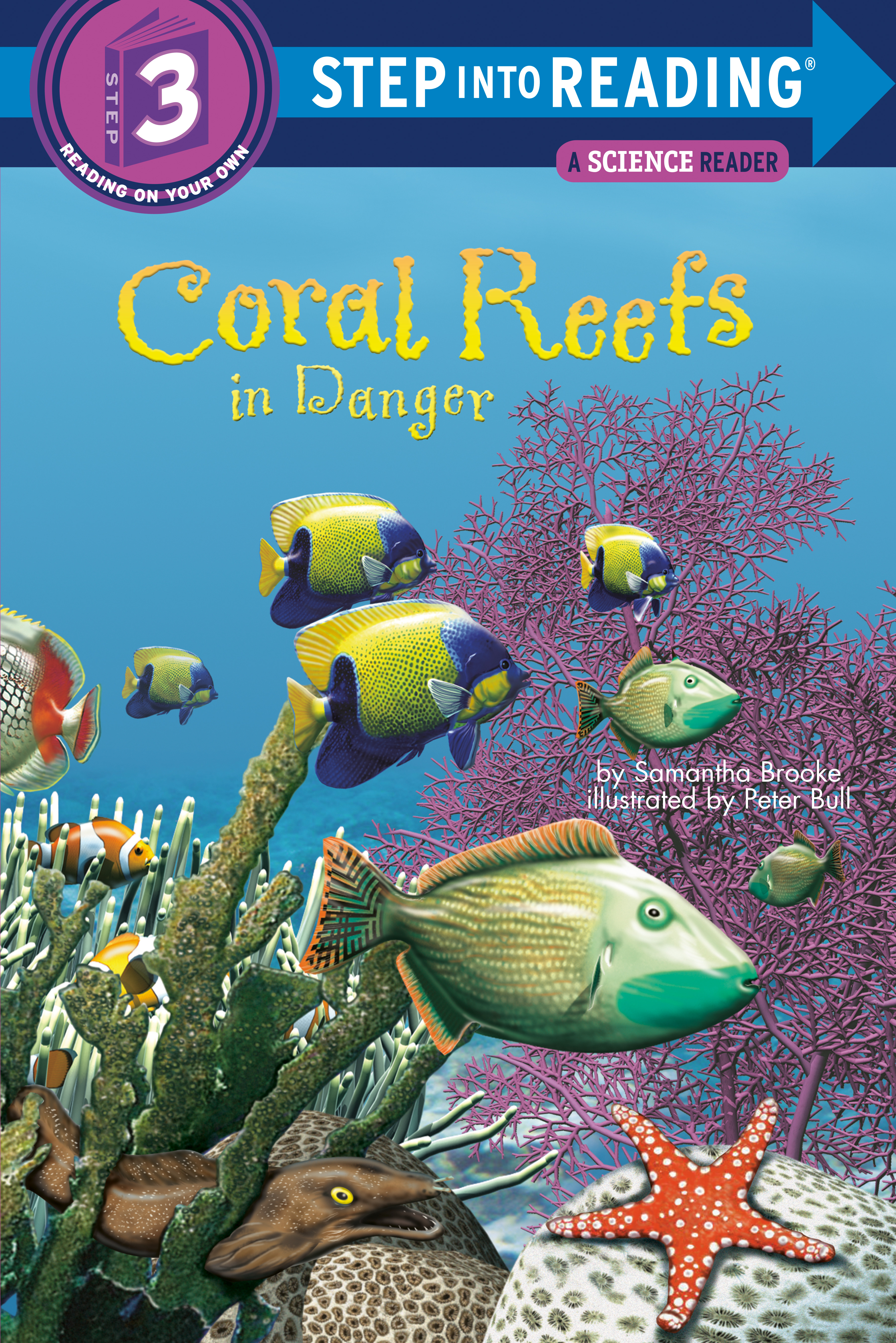 Coral Reefs in Danger (level 3) | First reader