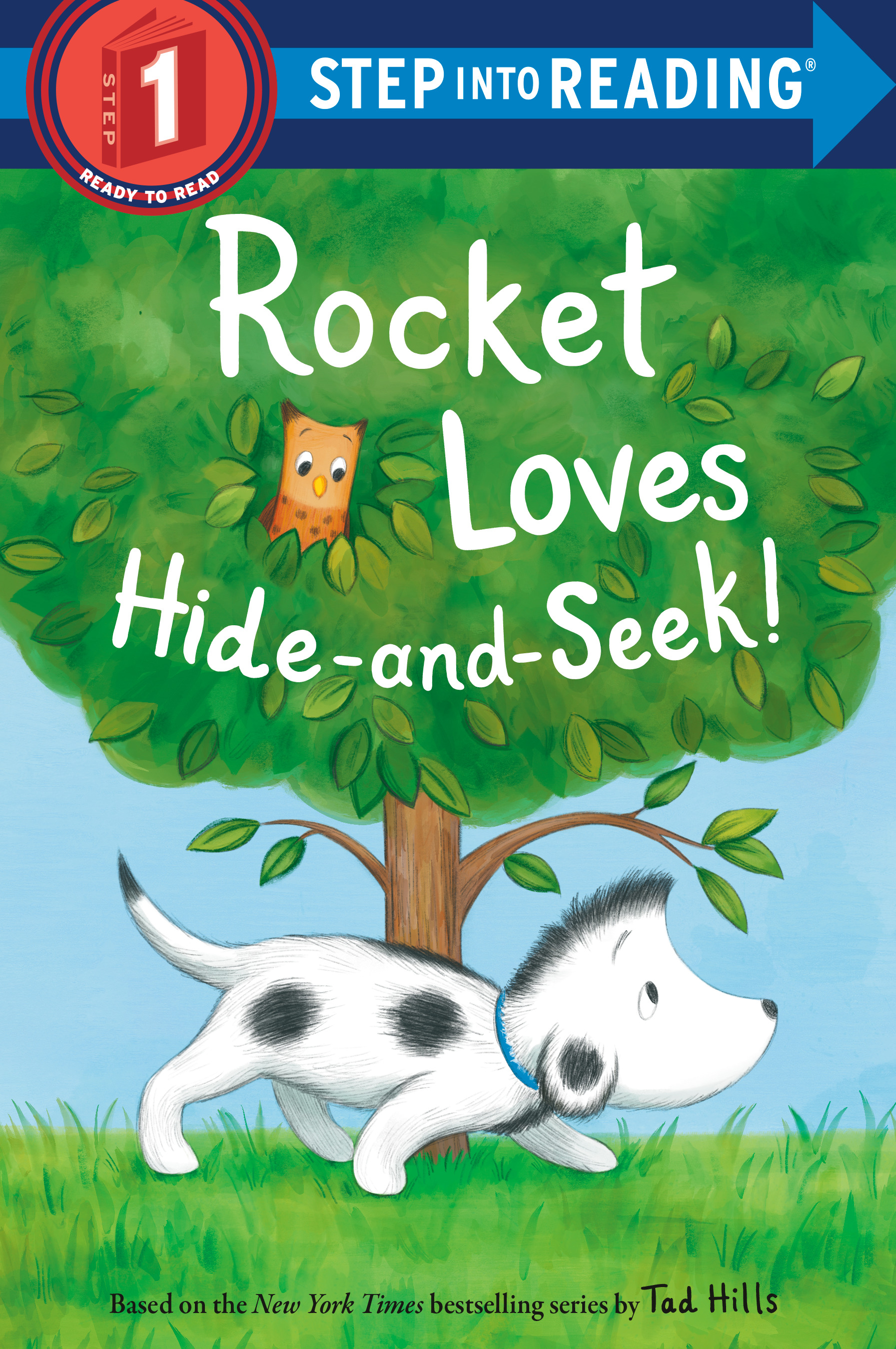 Step into Reading - Rocket Loves Hide-and-Seek! | First reader