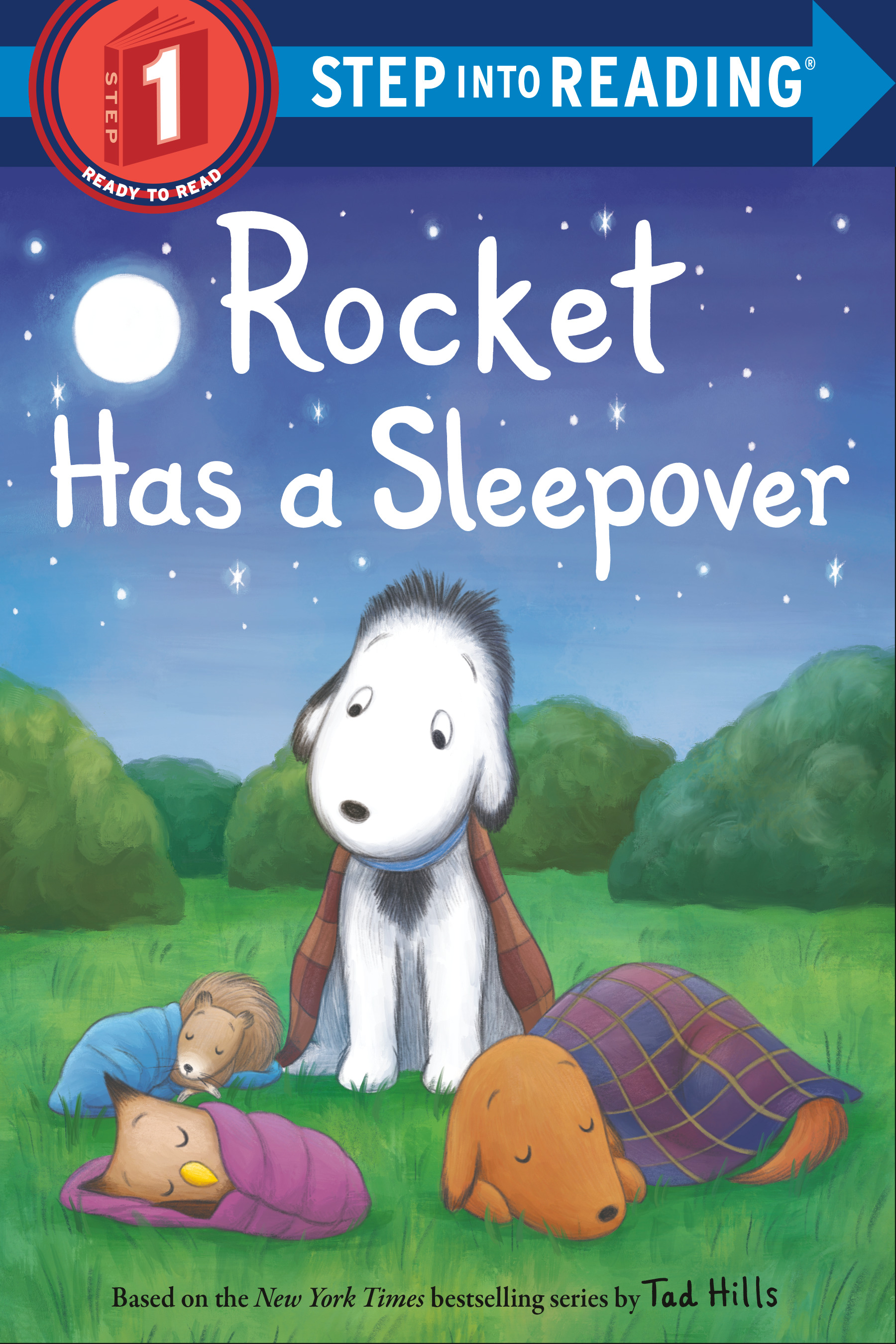 Step into Reading - Rocket Has a Sleepover | First reader