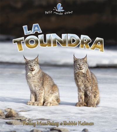 toundra (La) | 9782895793960 | Documentaires