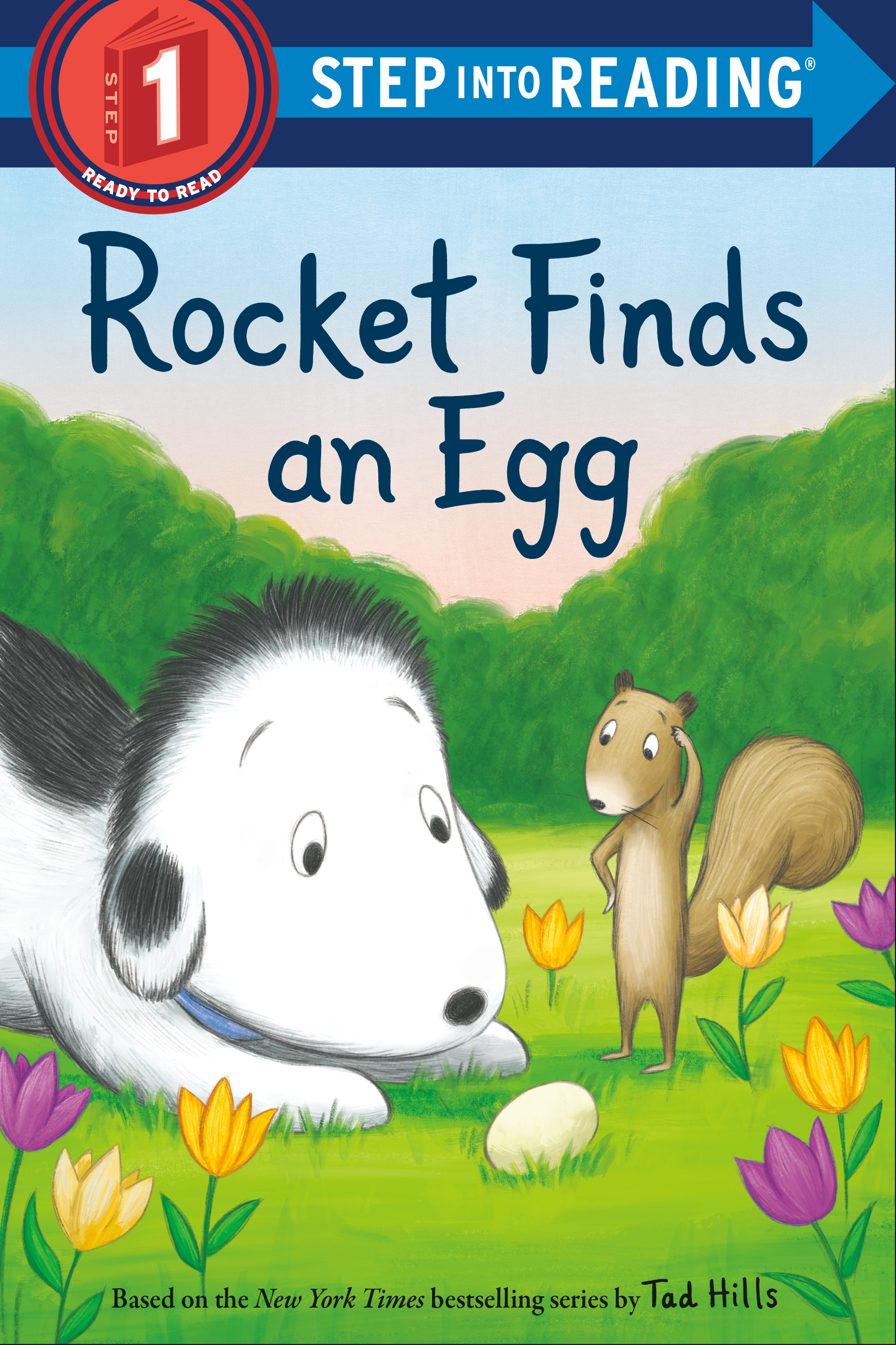 Rocket Finds an Egg | First reader