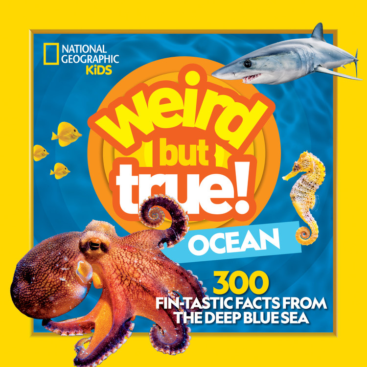 Weird But True Ocean | Documentary