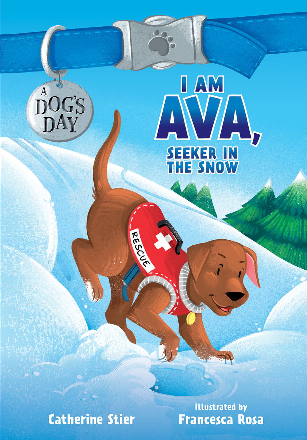 I Am Ava, Seeker in the Snow | 9-12 years old