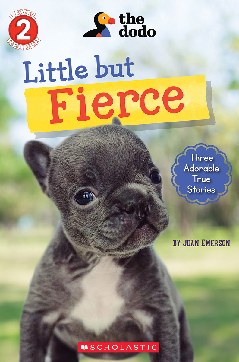 Little But Fierce ( Level 2 ) | First reader