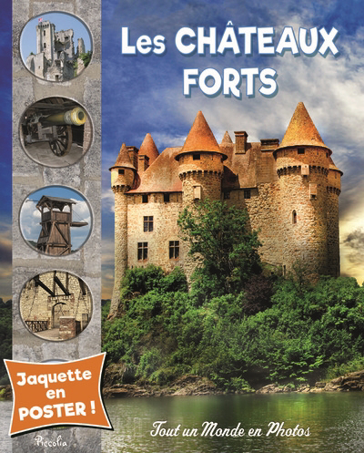 Châteaux forts (Les) | 9782753070585 | Documentaires