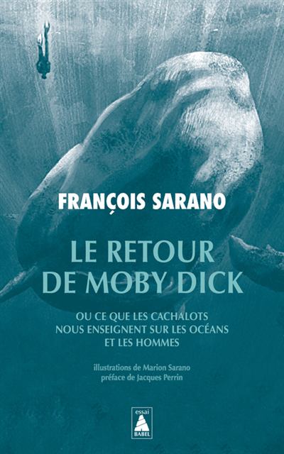 retour de Moby Dick ou Ce que les cachalots nous enseignent sur les océans et les hommes (Le) | 9782330163471 | Faune