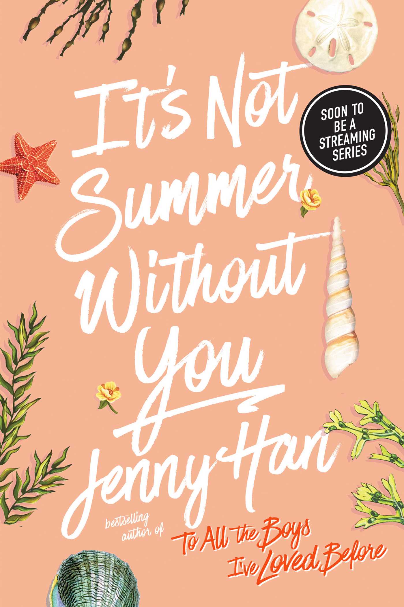The Summer I Turned Pretty T.02 - It's Not Summer Without You | Young adult