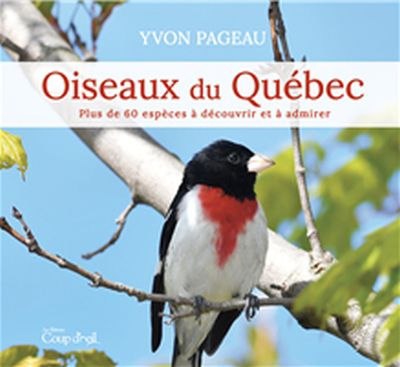 Oiseaux du Québec : plus de 60 espèces à découvrir et à admirer | 9782897689902 | Faune