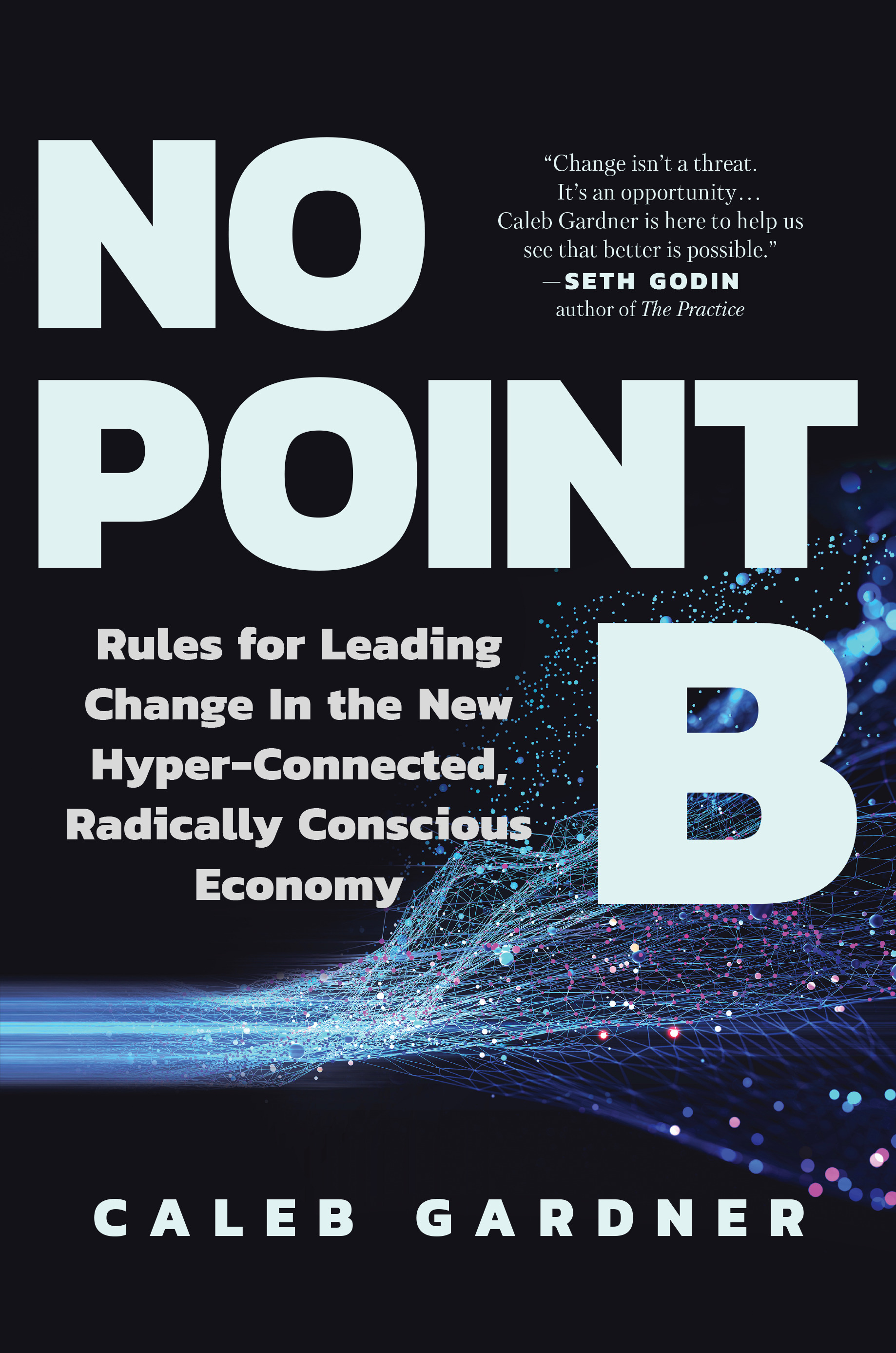 No Point B : Rules for Leading Change in the New Hyper-Connected, Radically Conscious Economy | Business & Management