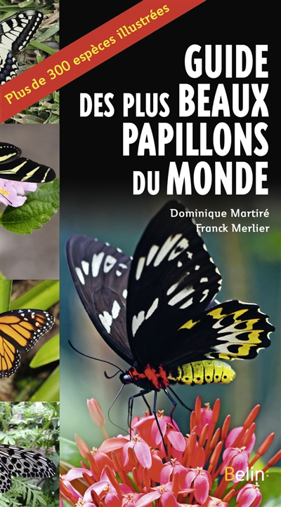 Guide des plus beaux papillons du monde : plus de 300 espèces illustrées | 9782410026177 | Faune
