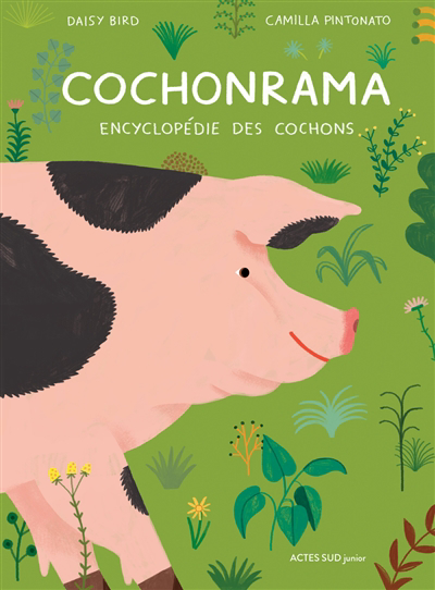 Cochonrama : encyclopédie des cochons | 9782330162511 | Documentaires
