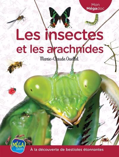  À la découverte de bestioles étonnantes : insectes et les arachnides (Les) | 9782898070655 | Documentaires