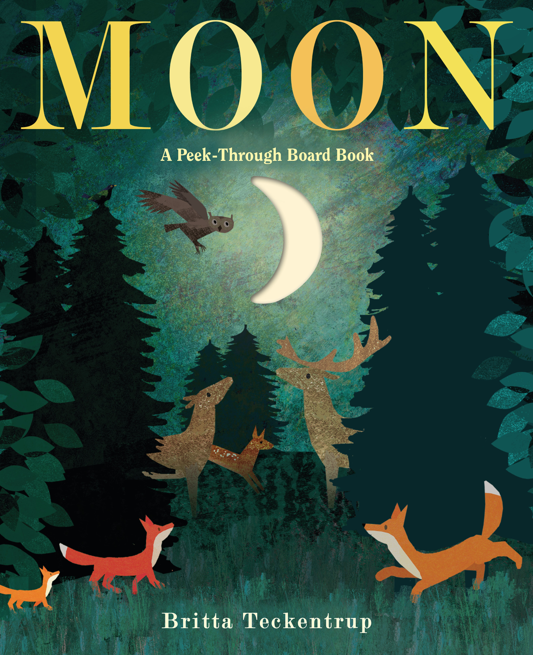 Moon: A Peek-Through Board Book | Picture & board books