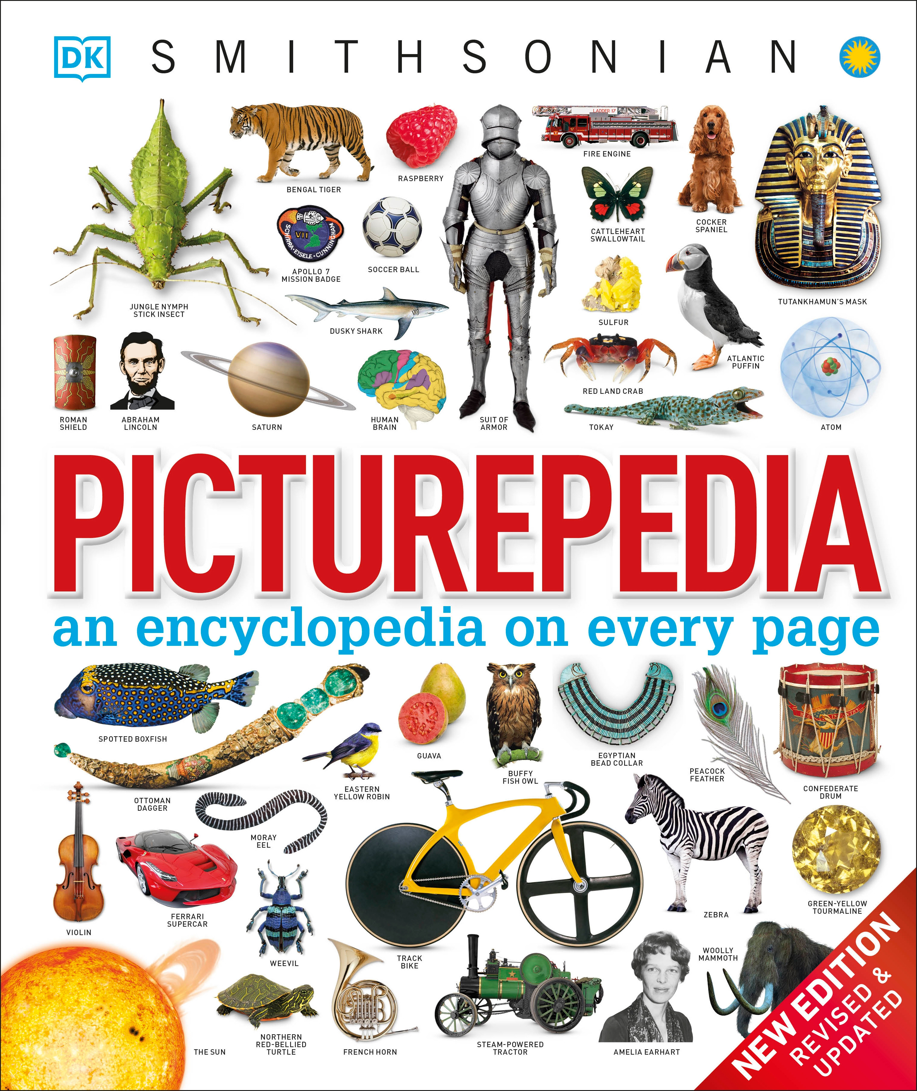 Picturepedia, Second Edition : An Encyclopedia on Every Page | Documentary