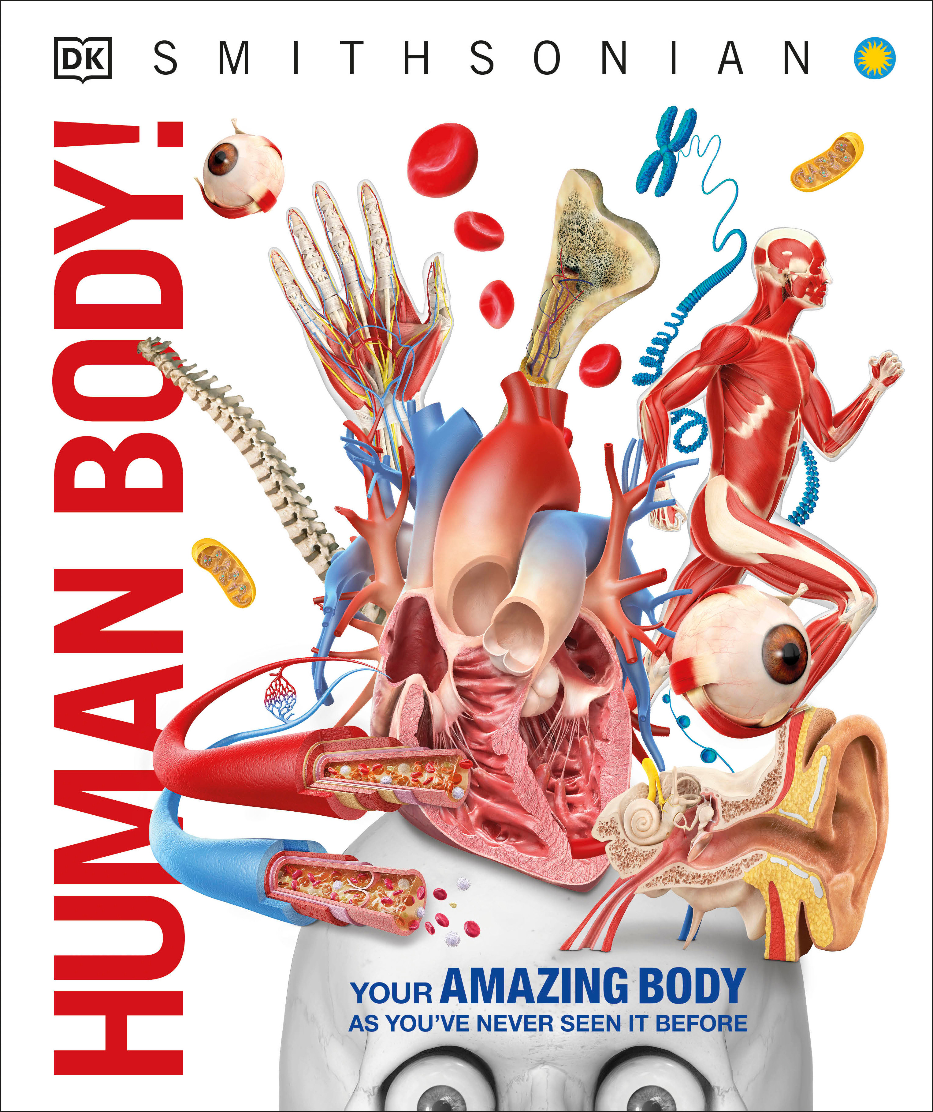 Human Body! | Documentary