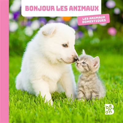 animaux domestiques (Les): Bonjour les animaux | 9789403227276 | Petits cartonnés et livres bain/tissus