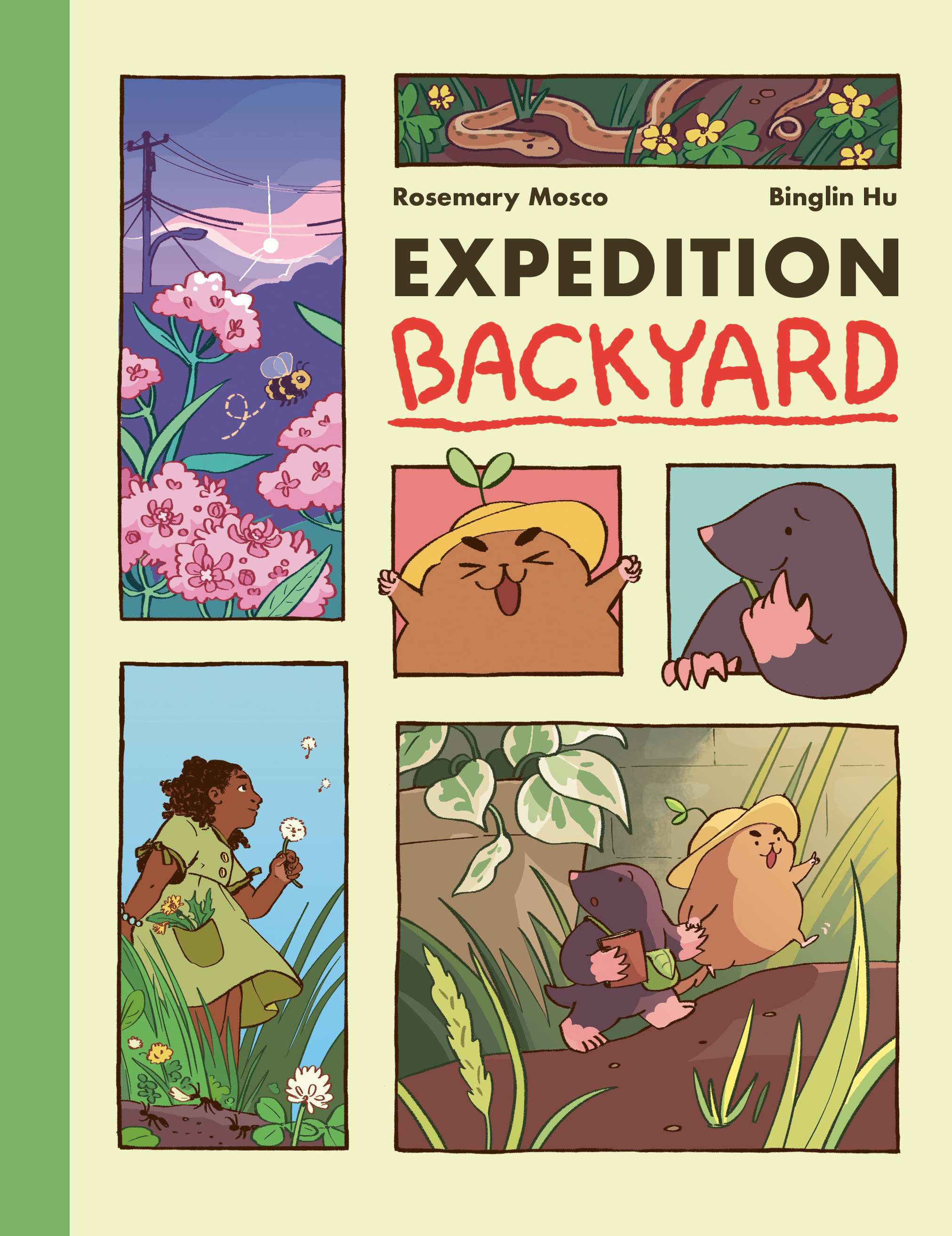 Expedition Backyard : Exploring Nature from Country to City  (A Graphic Novel) | First reader