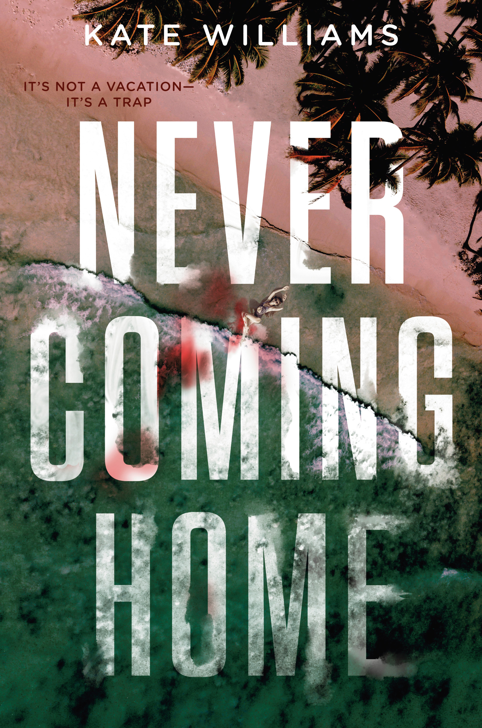 Never Coming Home | Young adult