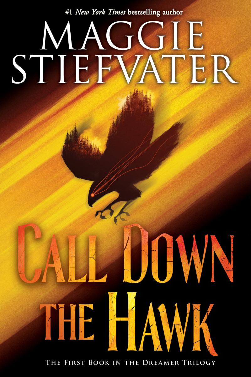 The Dreamer Trilogy T.01 - Call Down the Hawk | Young adult