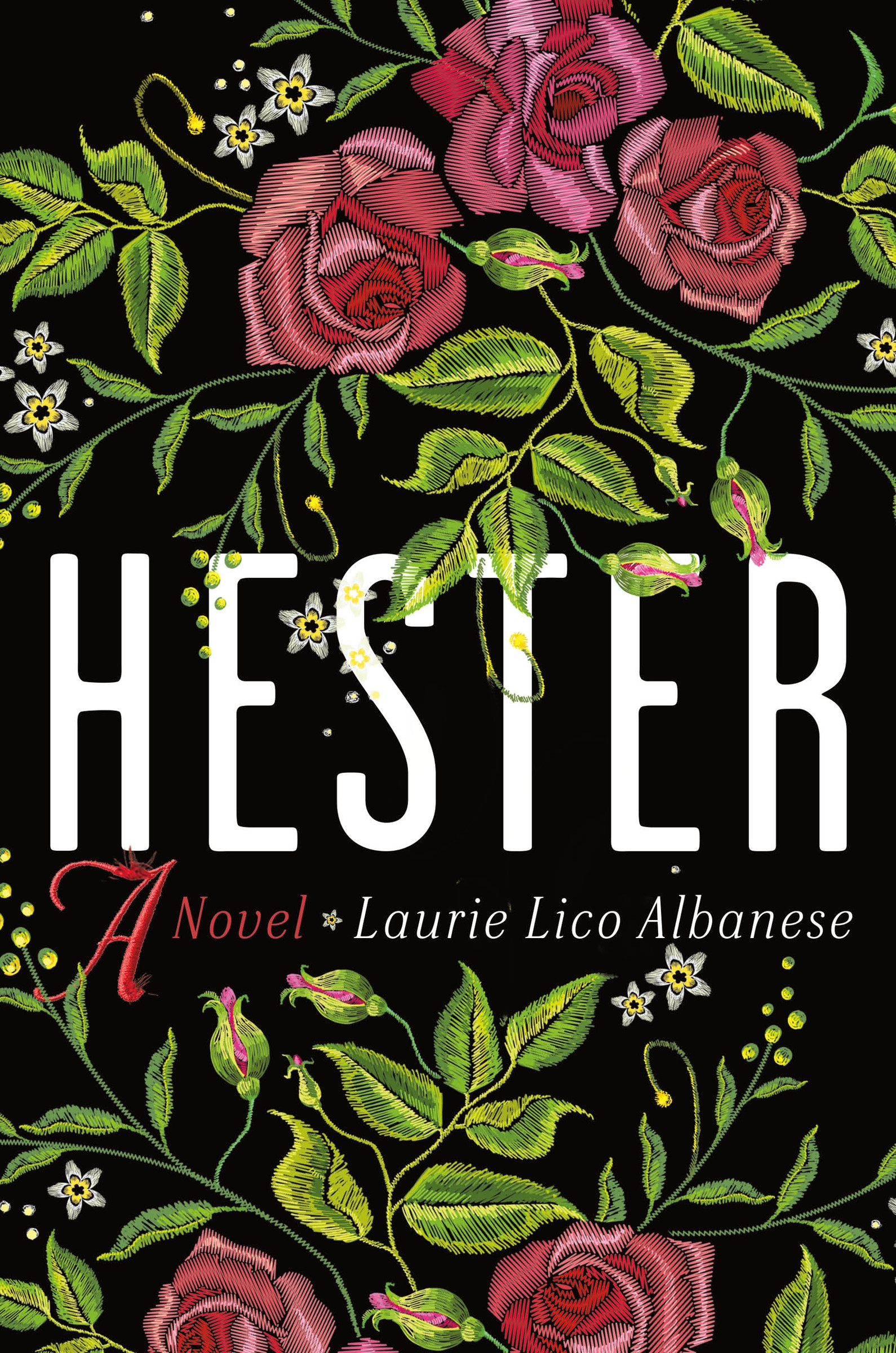 Hester : A Novel | Albanese, Laurie Lico