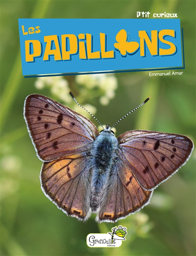 papillons (Les) | 9782366538090 | Documentaires