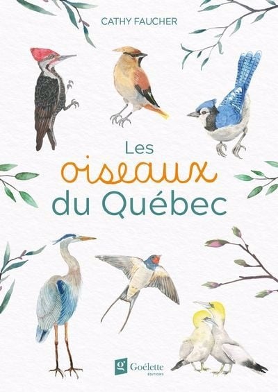 oiseaux du Québec (Les) | 9782898004742 | Documentaires