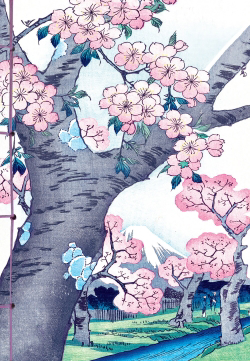 Les cerisiers en fleurs dans l'estampe japonaise : carnet (18 x 26 cm) | Papeterie fine
