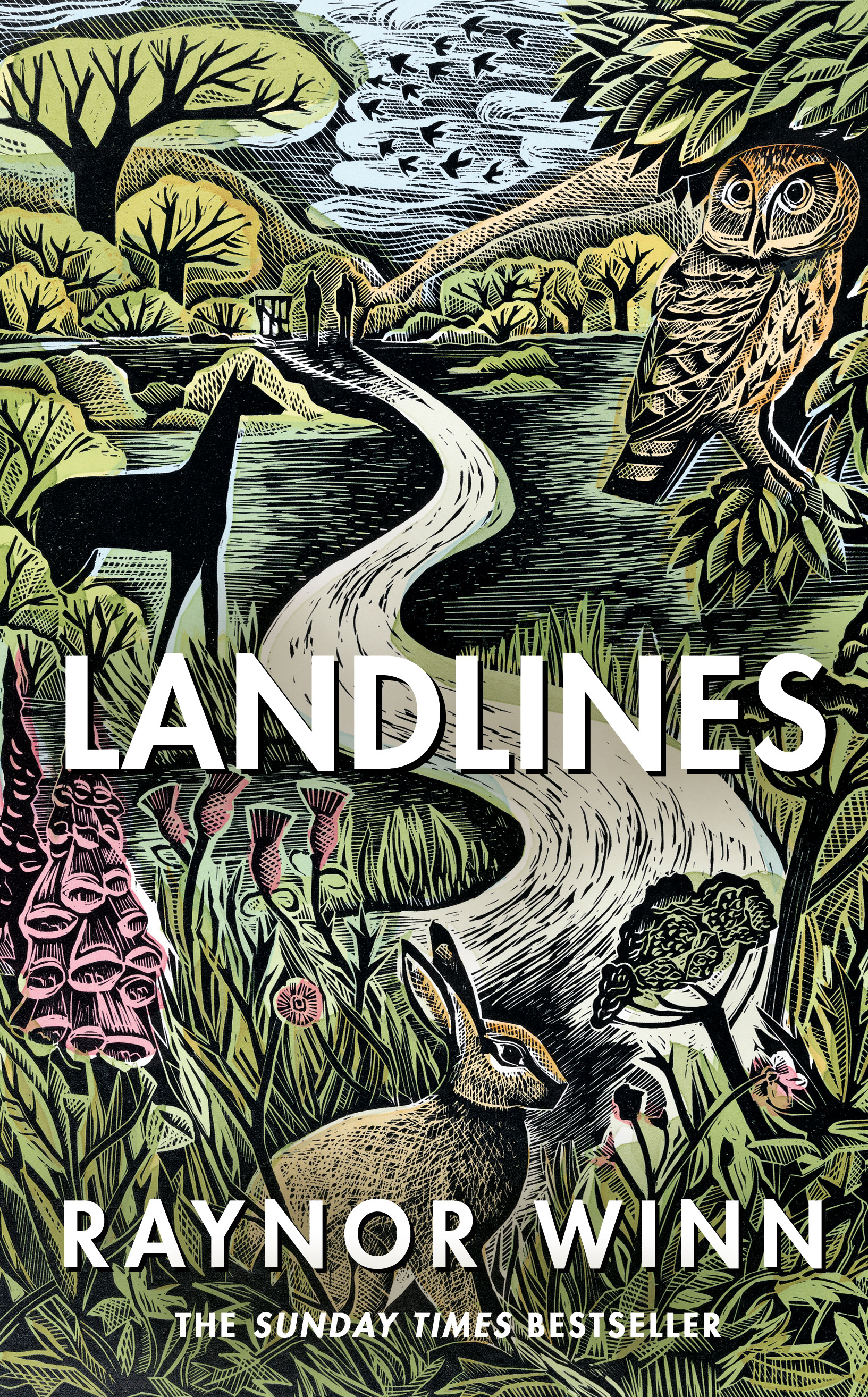 Landlines | Biography & Memoir