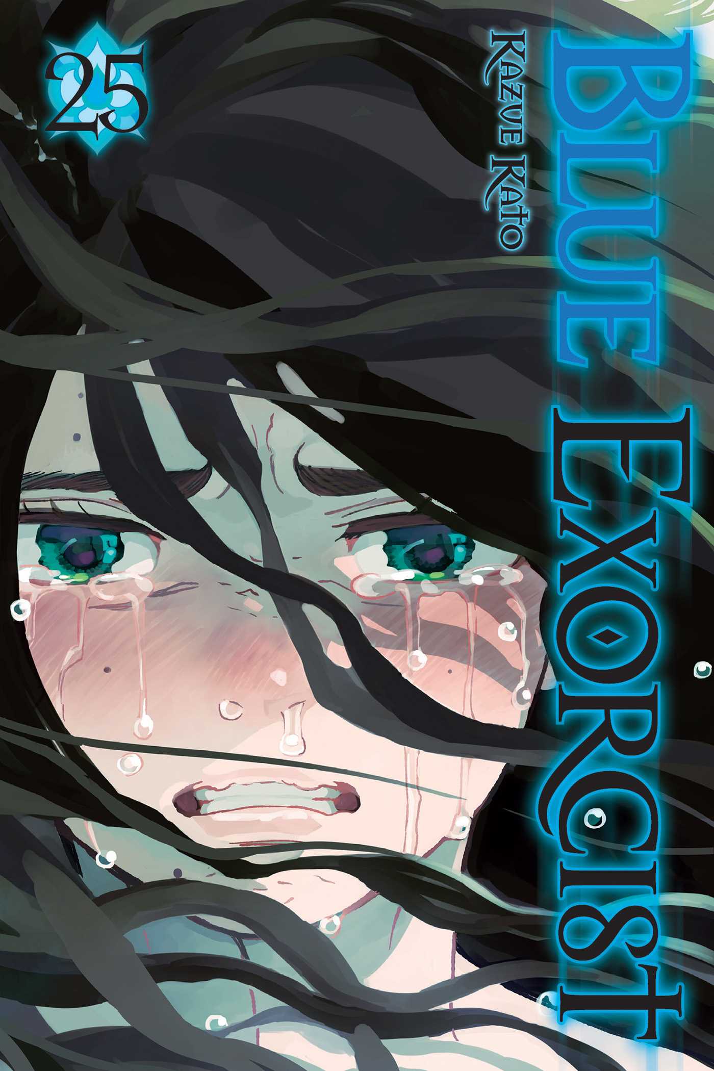 Blue Exorcist, Vol. 25 | Graphic novel & Manga (children)