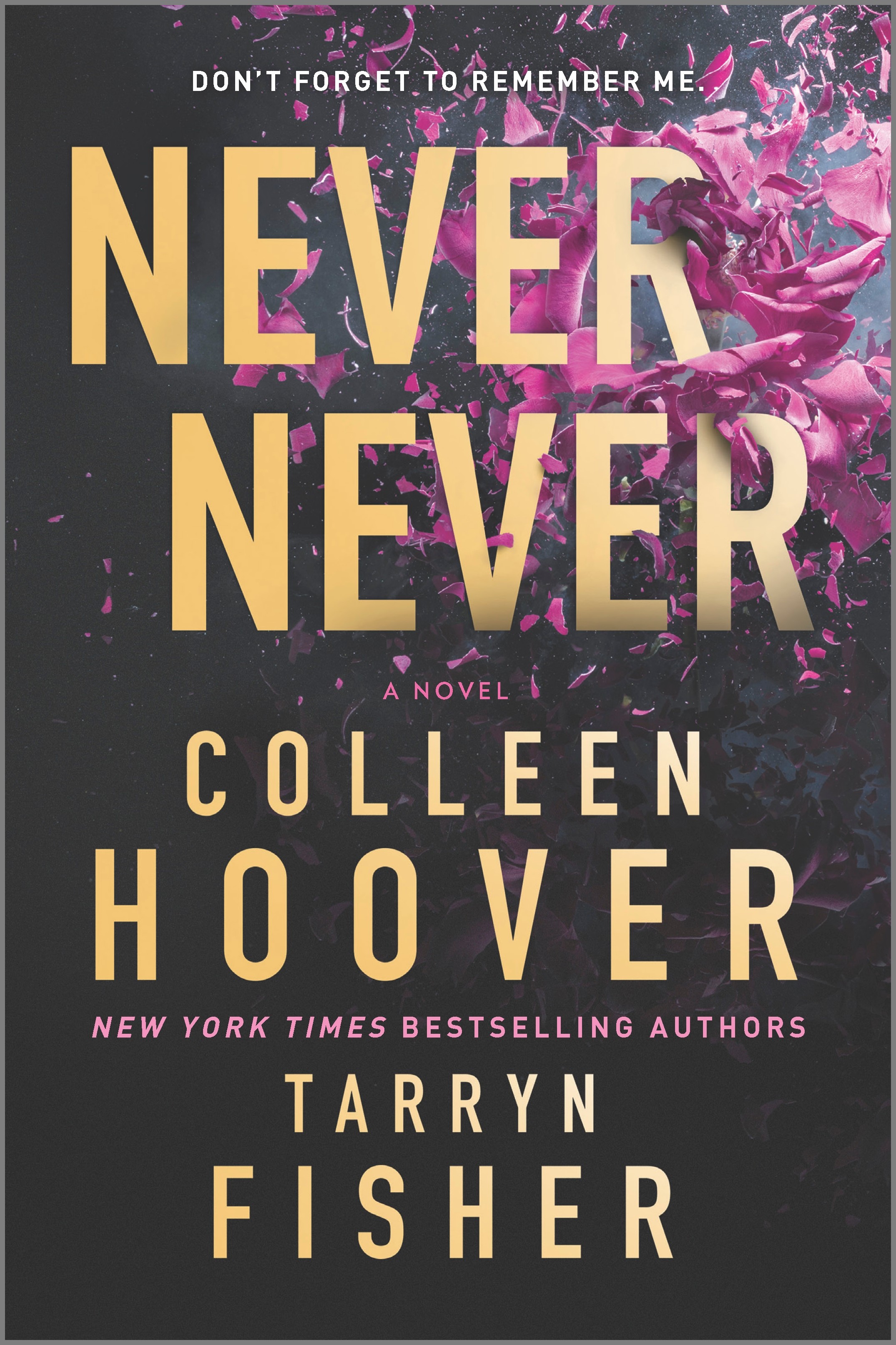 Never Never  | Novel