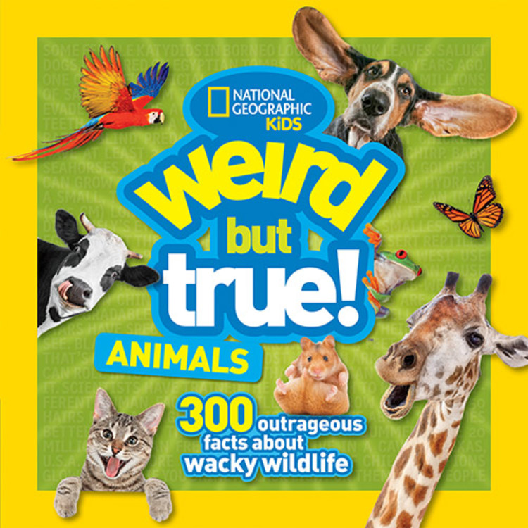 Weird But True Animals | Documentary